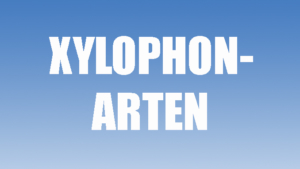 Xylophon-Arten Teaserbild